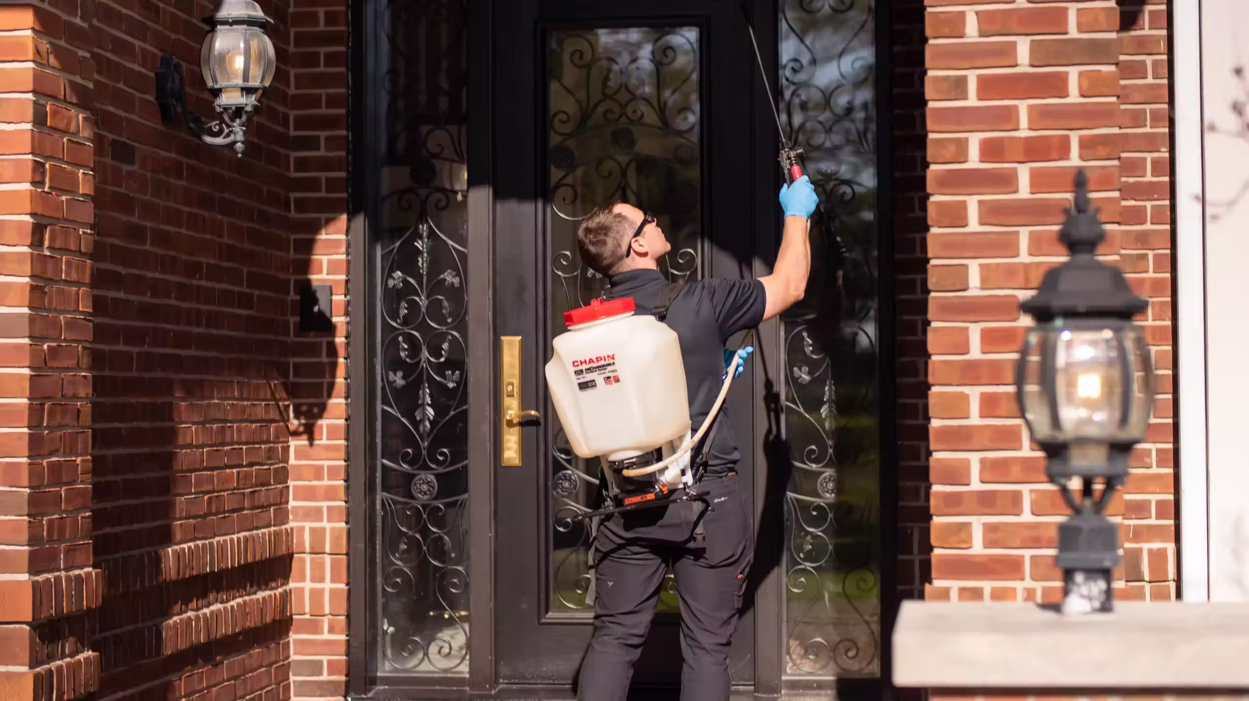 Ant extermination treatment process Forbearance Pest Control