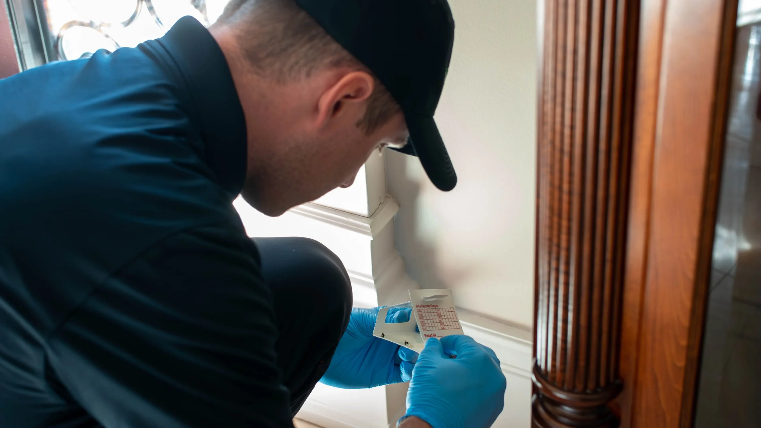 Rodent Problems and Solutions; Forbearance Pest Control; technician in blue uniform doing pest control treatment