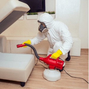 Bed Bug Control Hamilton ON