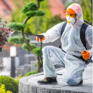 Pest Control Niagara Falls