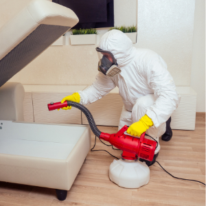 Residential Pest Control Hamilton