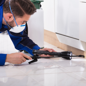 Ancaster Pest Inspection