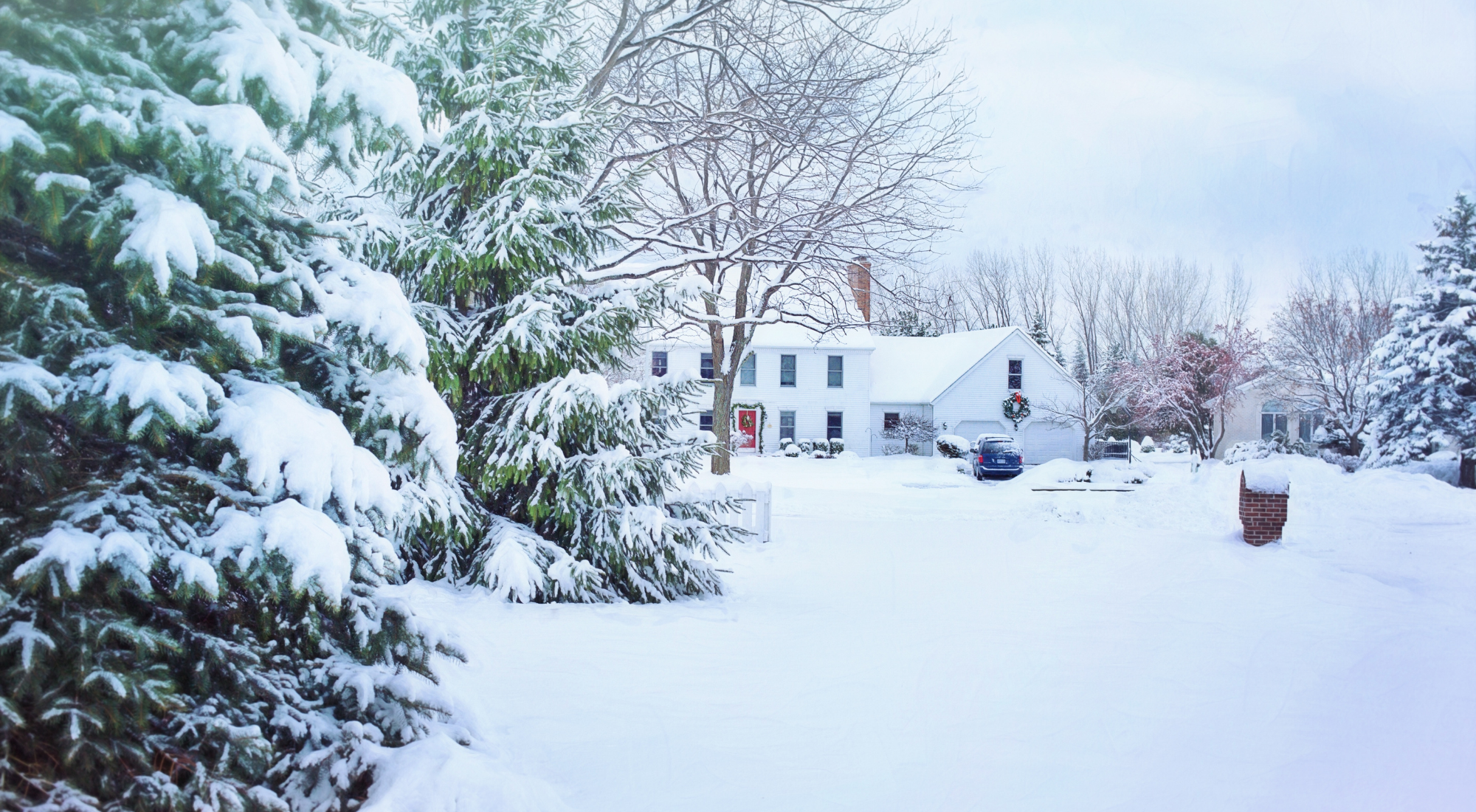 Winter Pest Control