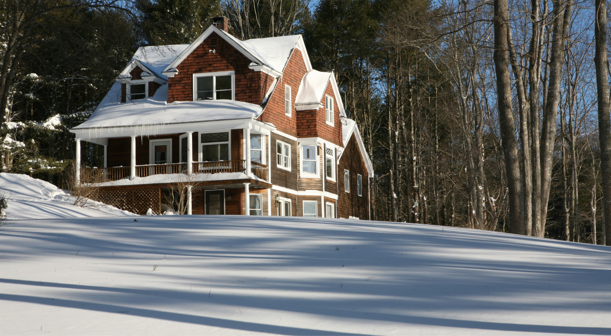 Winter Rodent Control in Ontario