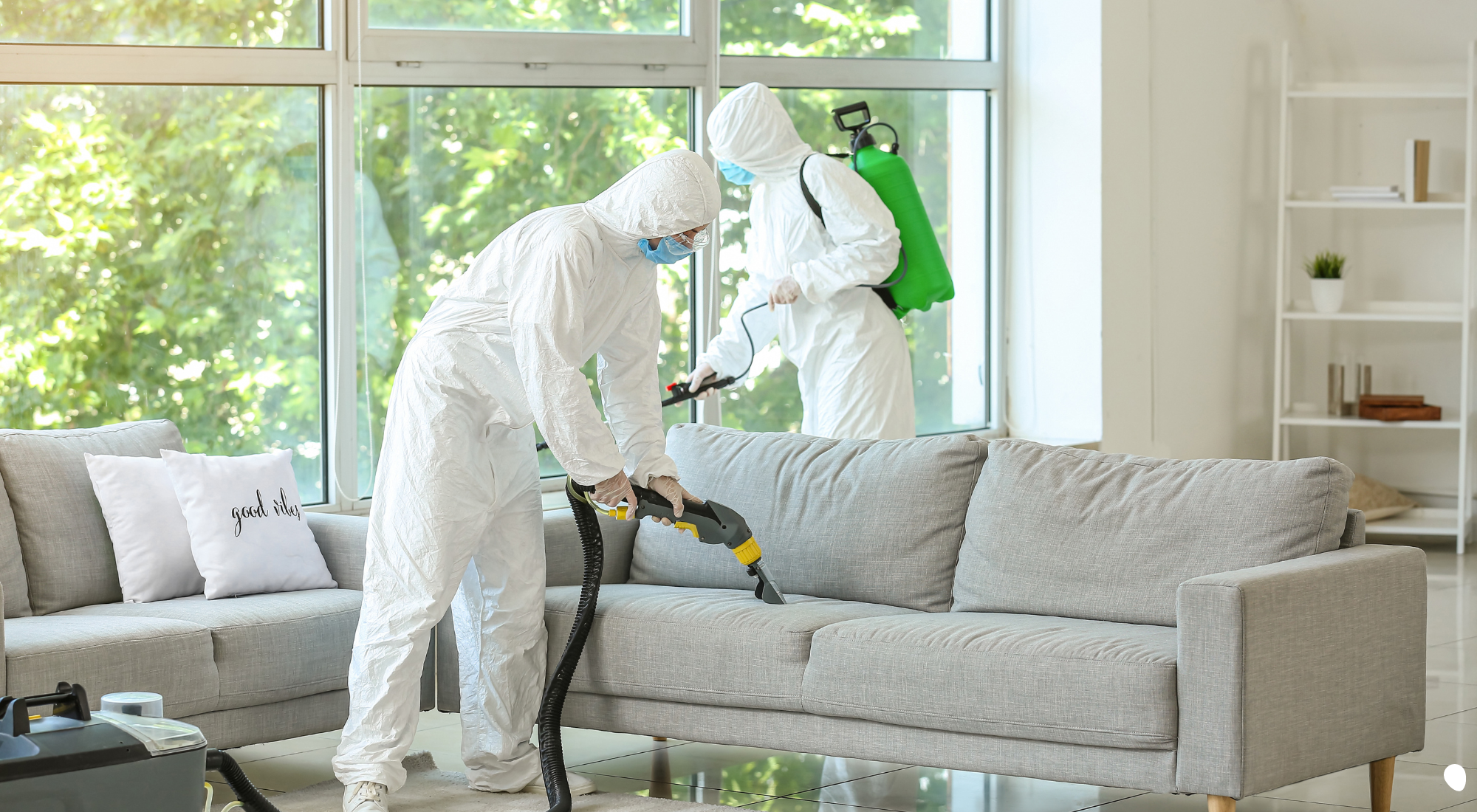 stoney creek pest removal