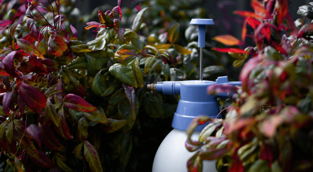 Curated visual reference: Visual Reference: Chemical Free Pest Control Why Bioremediation Is The Future
