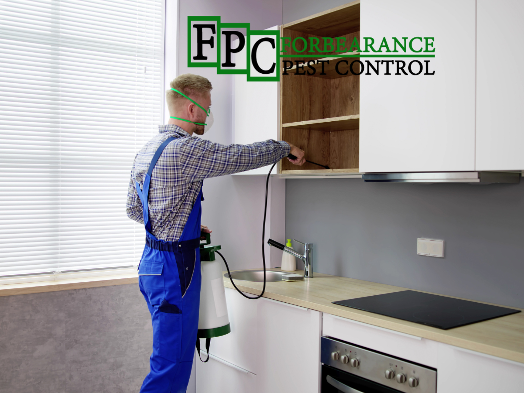 pest technician in Hamilton's Pest control