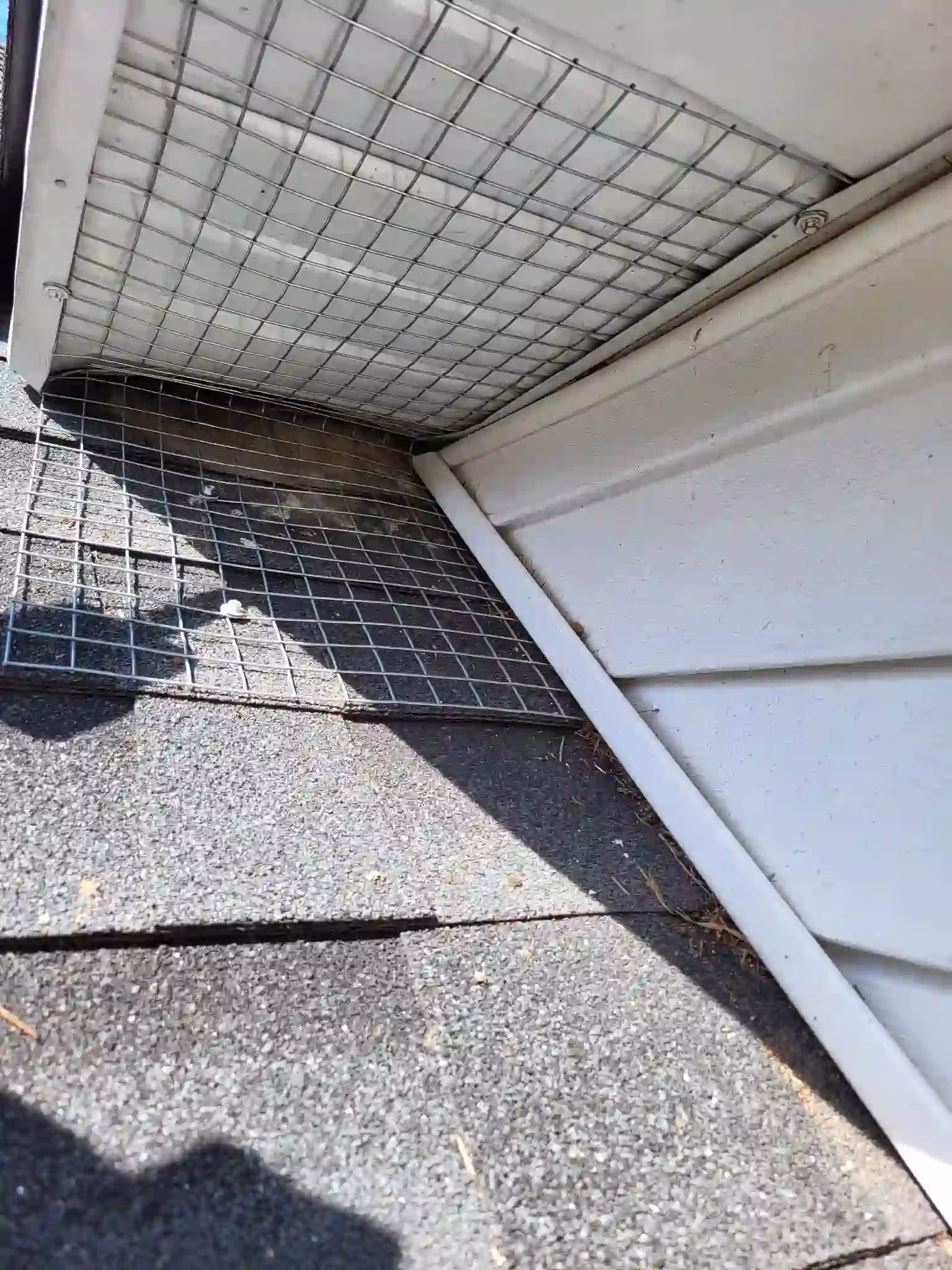 Close-up of roof corner with shingles and metal wire mesh over a vent.