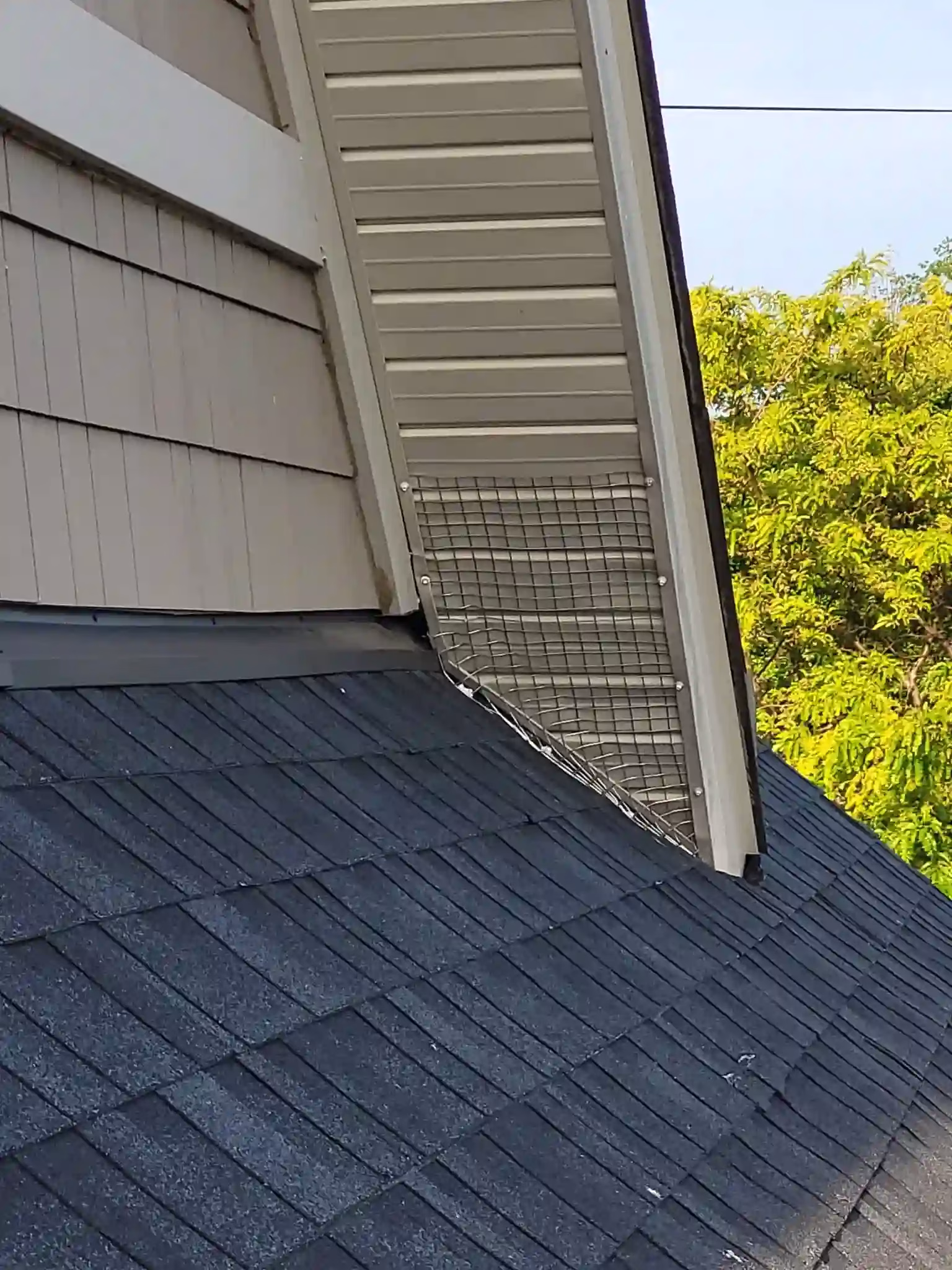 House roof with gray shingles and wire mesh installed along the eaves near trees.