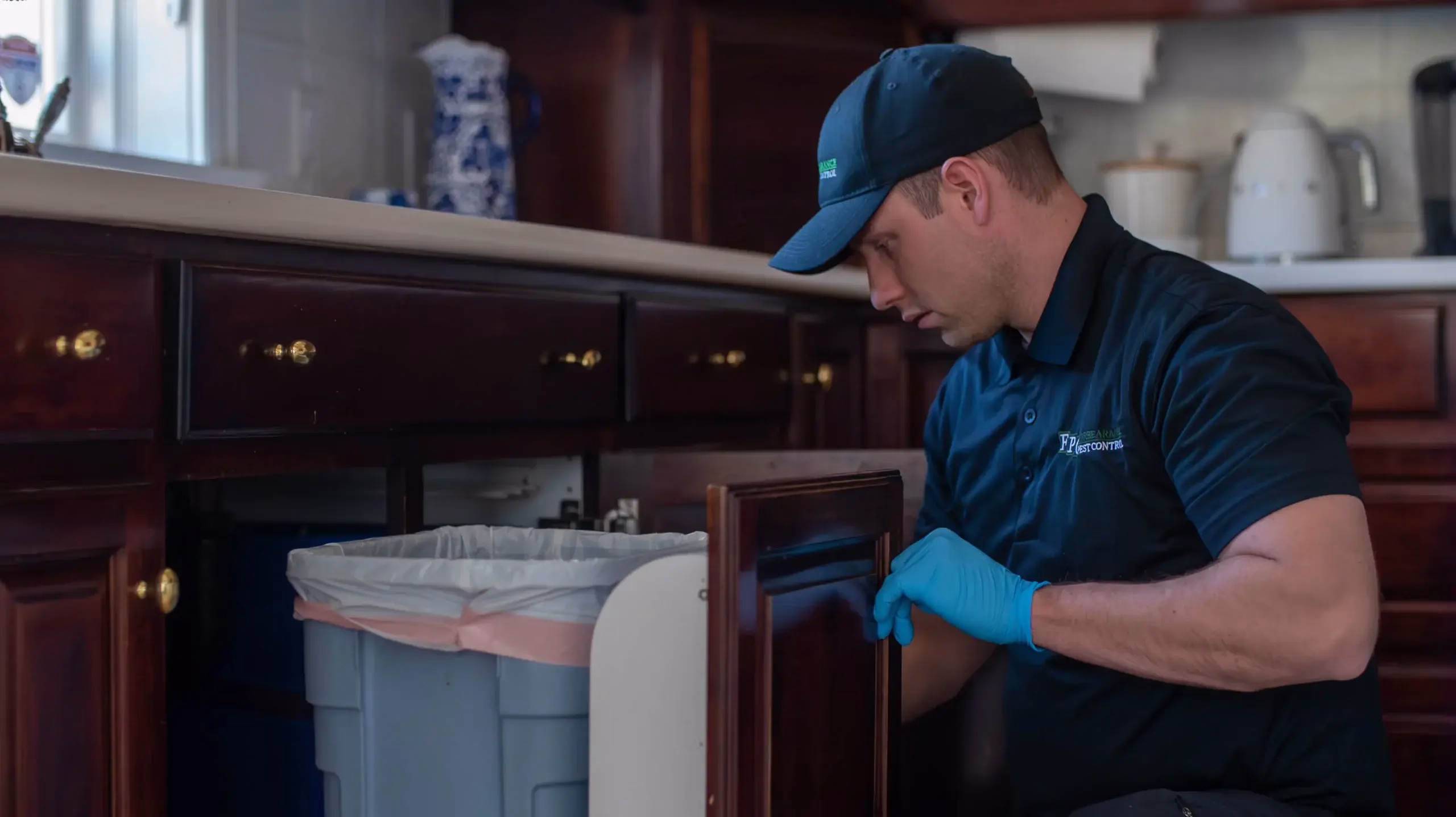 Pest control technician inspecting under a kitchen sink inside a cabinet.