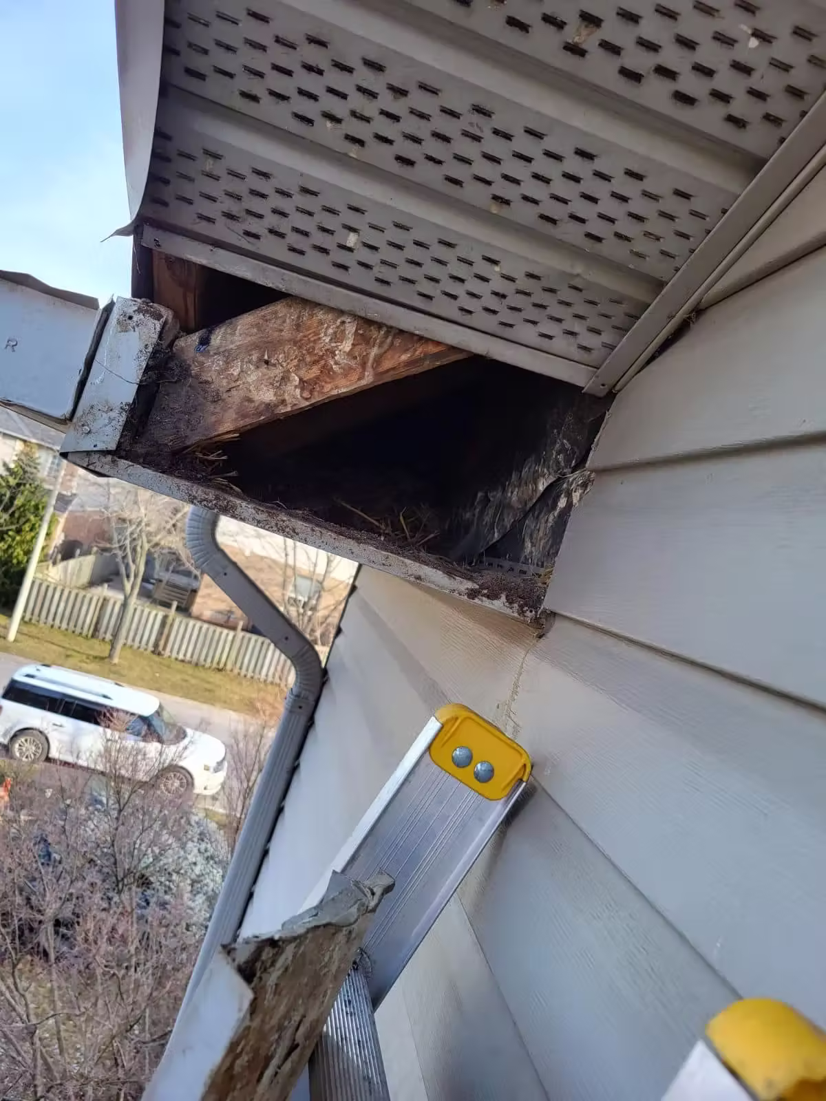 repairing rusty soffit