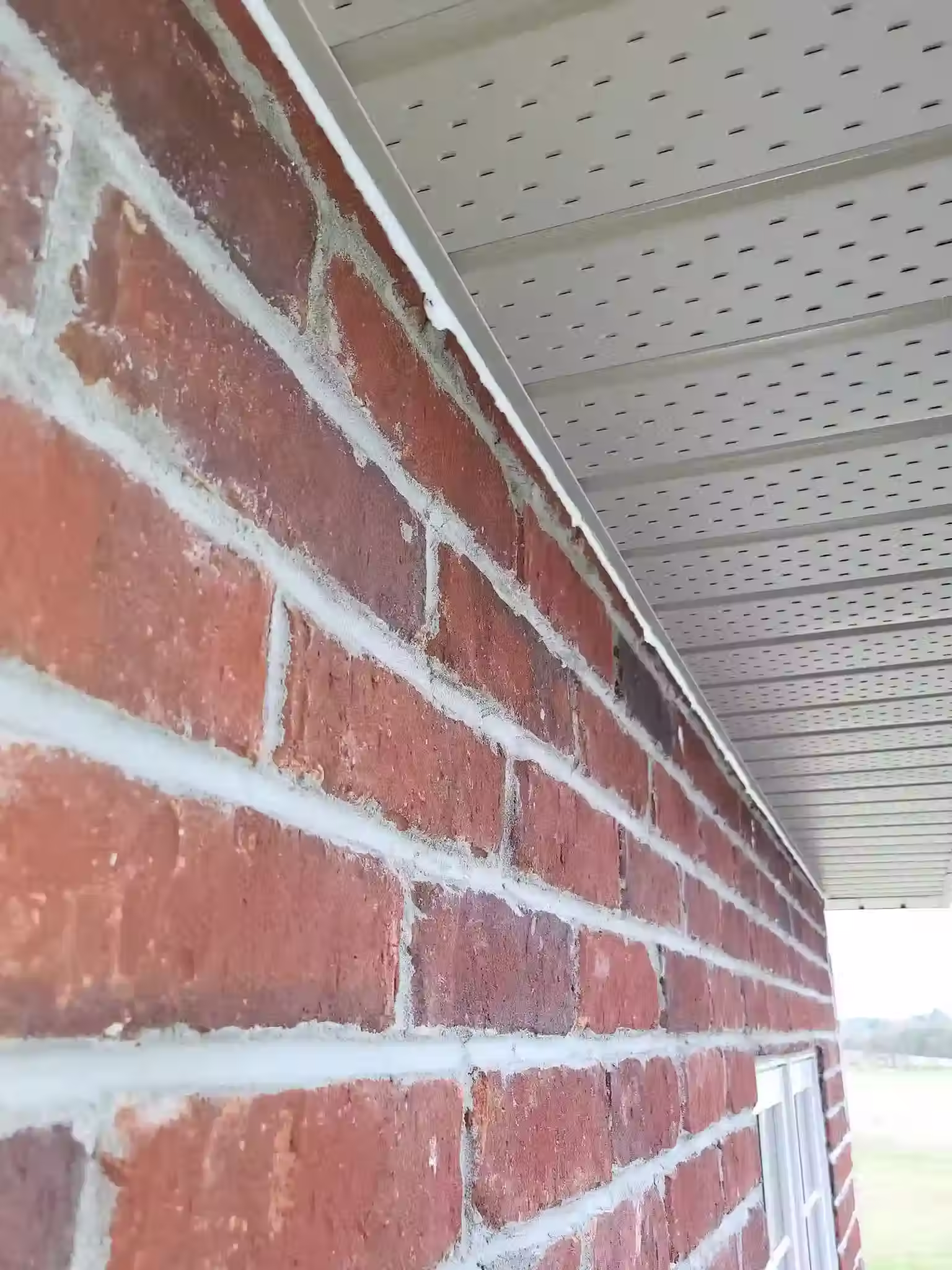 pest proofing the walls