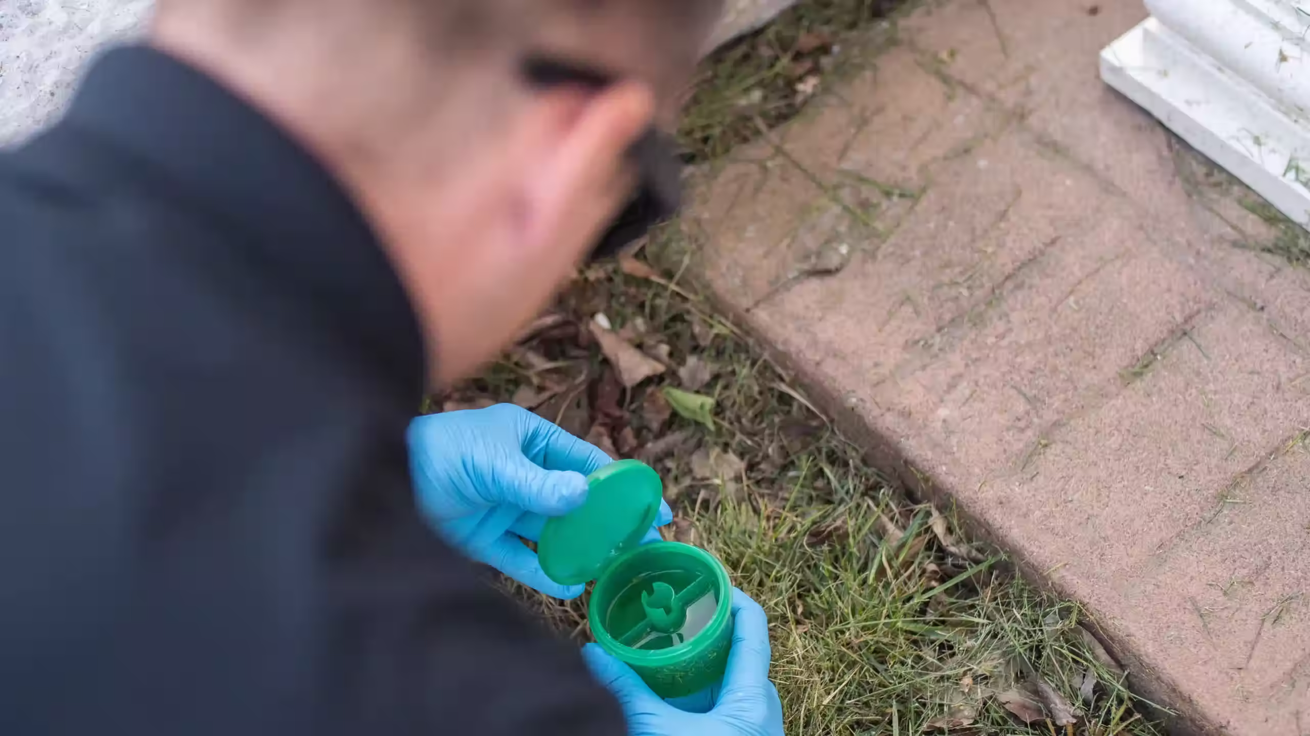 pest control experts