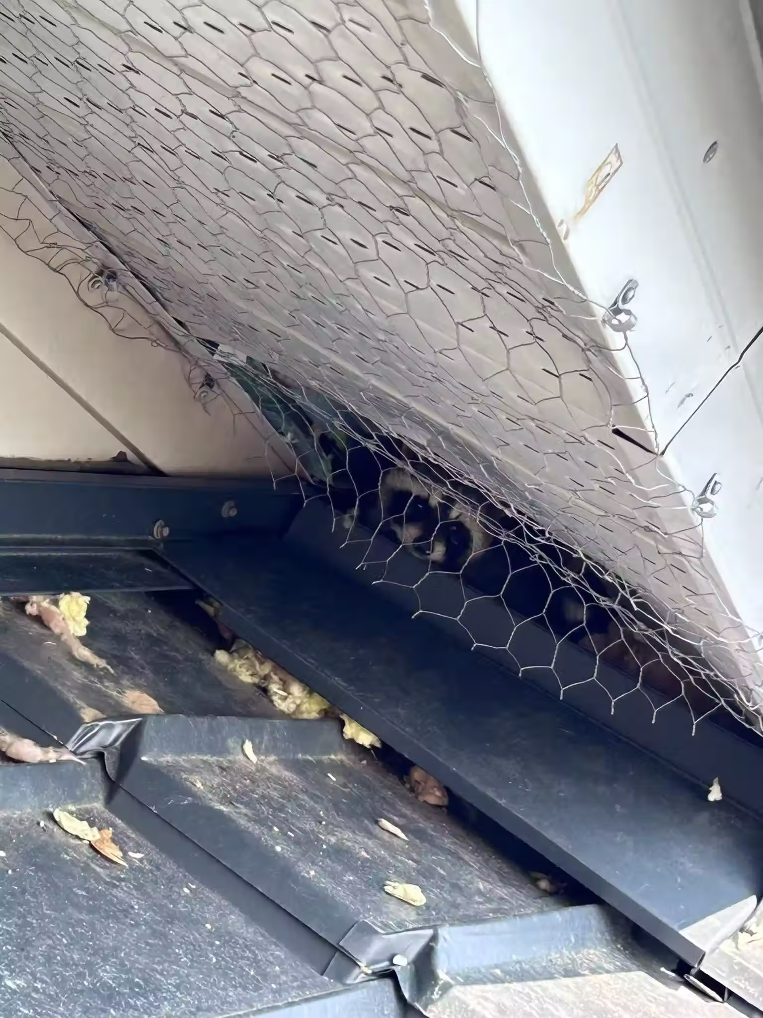 soffit repair