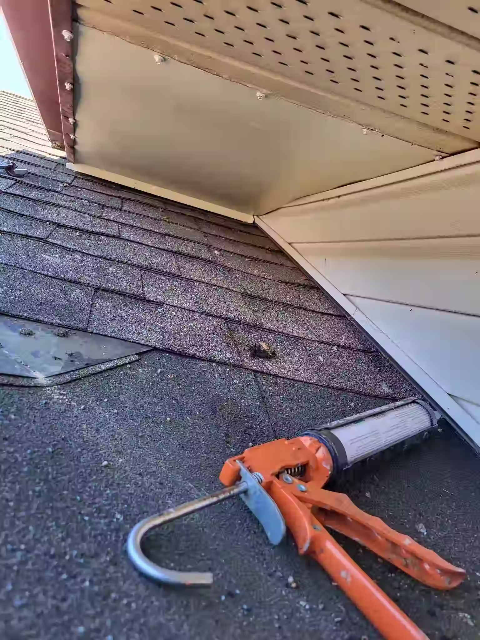 soffit repairs forbearance pest control