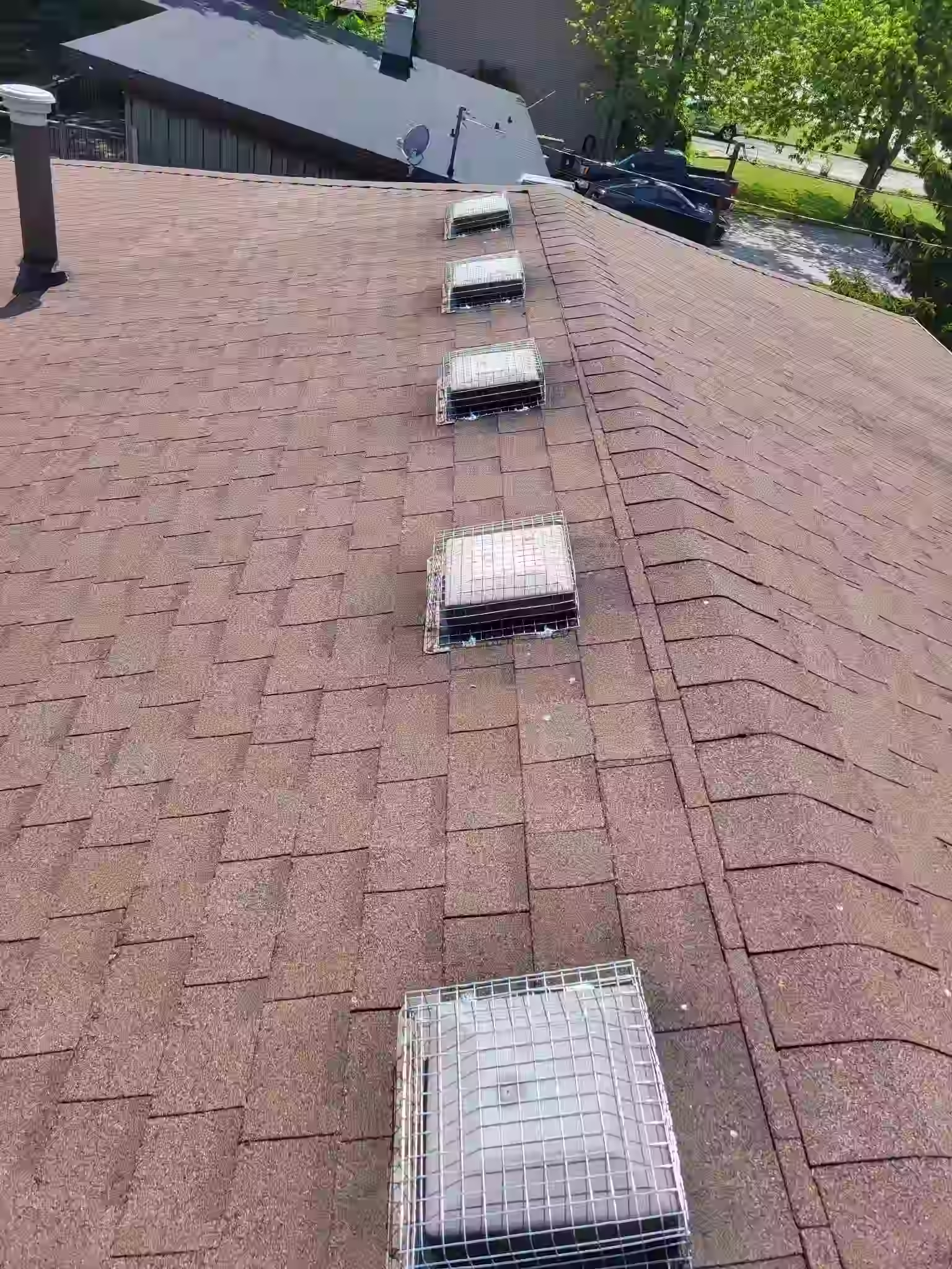 pest proofing